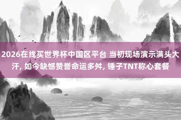 2026在线买世界杯中国区平台 当初现场演示满头大汗， 如今缺憾赞誉命运多舛， 锤子TNT称心套餐