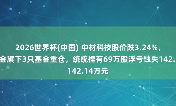 2026世界杯(中国) 中材科技股价跌3.24%,嘉实基金旗下3只基金重仓,统统捏有69万股浮亏蚀失142.14万元