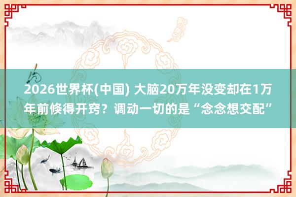 2026世界杯(中国) 大脑20万年没变却在1万年前倏得开窍?调动一切的是“念念想交配”
