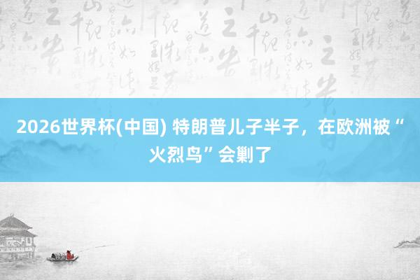 2026世界杯(中国) 特朗普儿子半子,在欧洲被“火烈鸟”会剿了