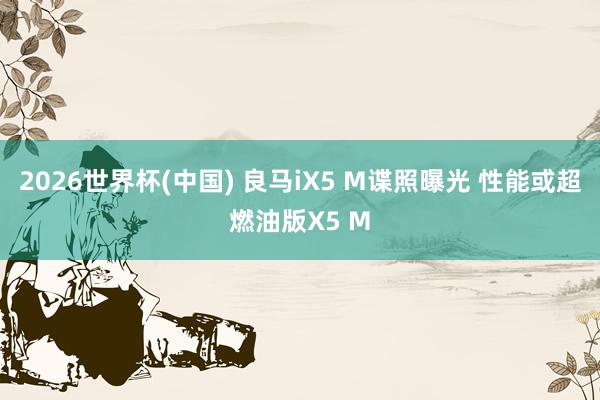2026世界杯(中国) 良马iX5 M谍照曝光 性能或超燃油版X5 M