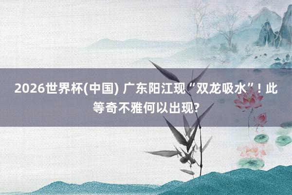 2026世界杯(中国) 广东阳江现“双龙吸水”! 此等奇不雅何以出现?