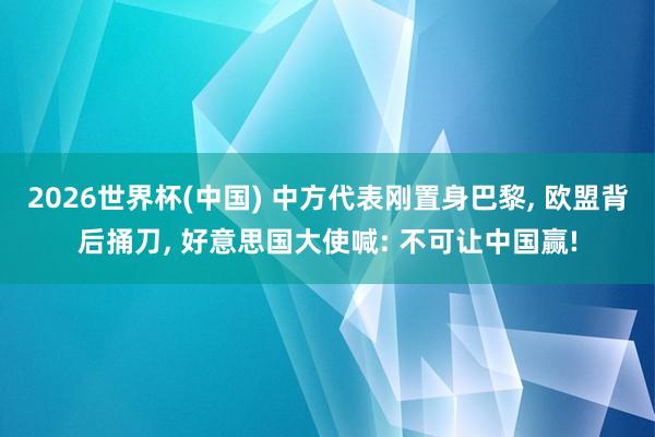 2026世界杯(中国) 中方代表刚置身巴黎, 欧盟背后捅刀, 好意思国大使喊: 不可让中国赢!