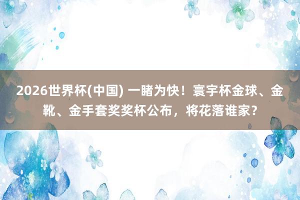 2026世界杯(中国) 一睹为快!寰宇杯金球、金靴、金手套奖奖杯公布,将花落谁家?