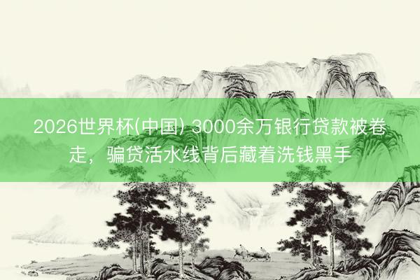 2026世界杯(中国) 3000余万银行贷款被卷走,骗贷活水线背后藏着洗钱黑手