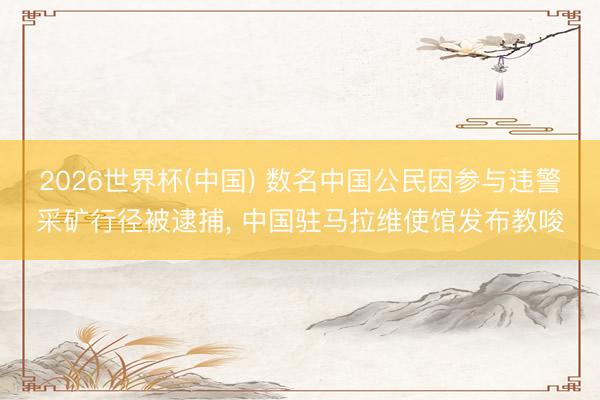 2026世界杯(中国) 数名中国公民因参与违警采矿行径被逮捕, 中国驻马拉维使馆发布教唆